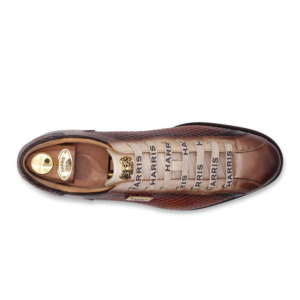Harris Firenze 1913 Leather Sneakers Brown