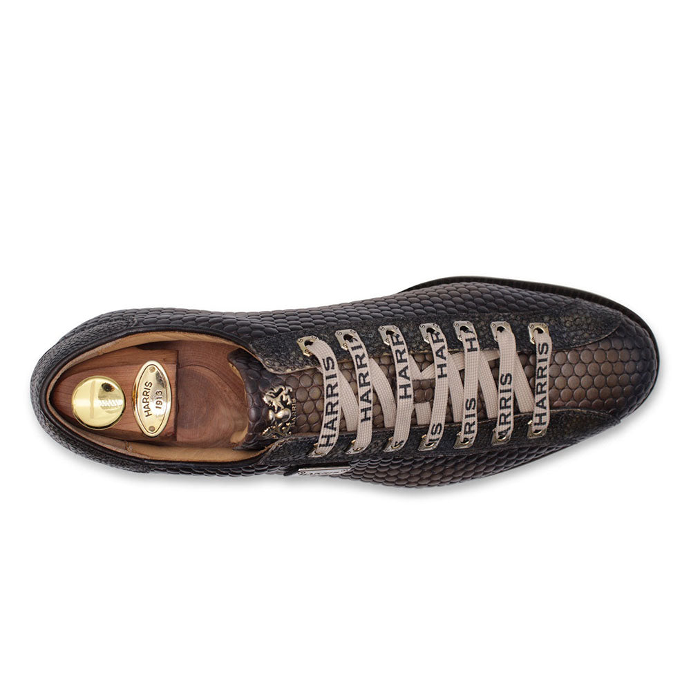 Harris Firenze 1913 Leather Sneakers Brown