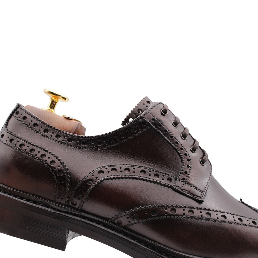 Harris Firenze 1913 Leather Wingtip Shoes Brown