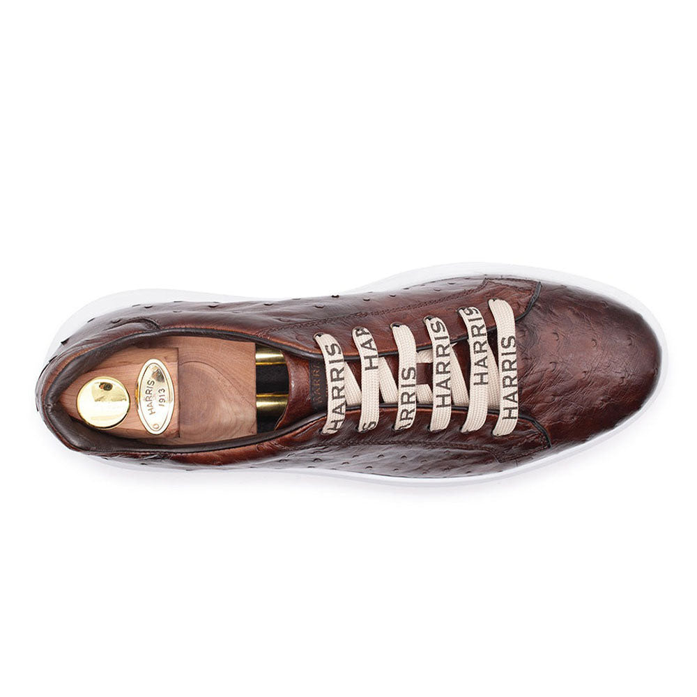 Harris Firenze 1913 Ostrich Leather Sneakers Brown