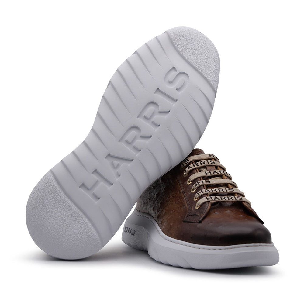 Harris Firenze 1913 Ostrich Print Leather Sneakers Brown
