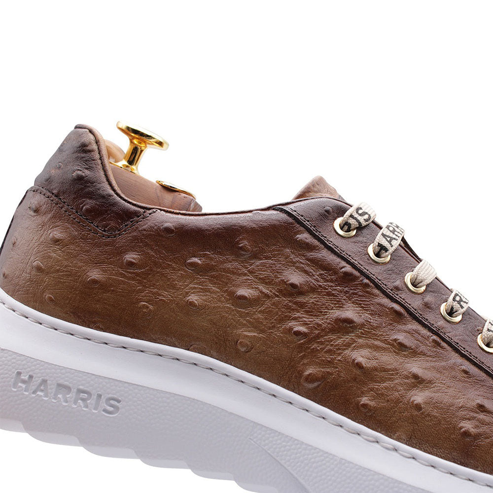 Harris Firenze 1913 Ostrich Print Leather Sneakers Brown