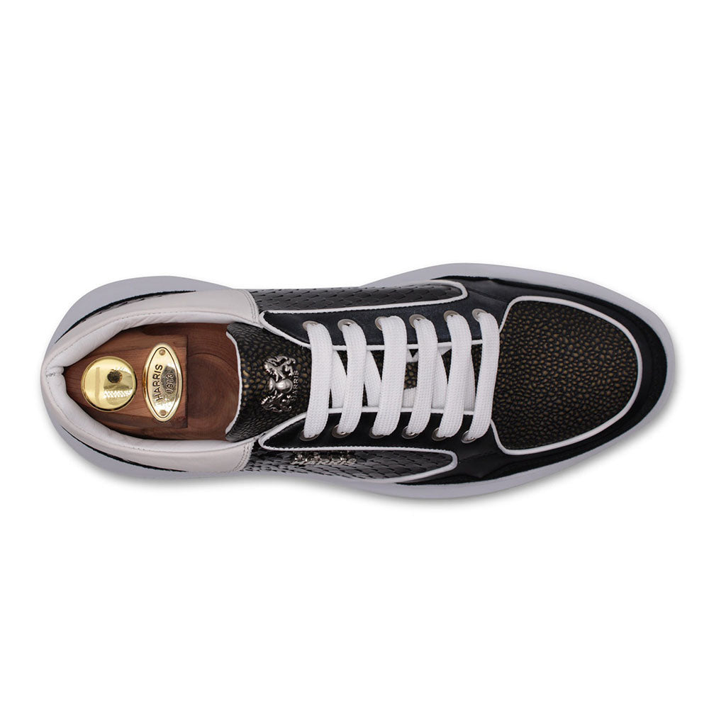 Harris Firenze 1913 Premium Leather Sneakers Black