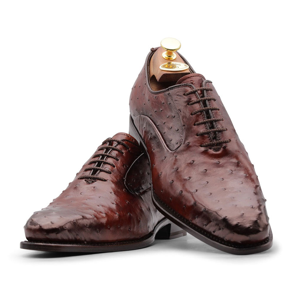 Harris Firenze 1913 Premium Ostrich Leather Oxford Shoes Brown