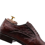 Harris Firenze 1913 Premium Ostrich Leather Oxford Shoes Brown