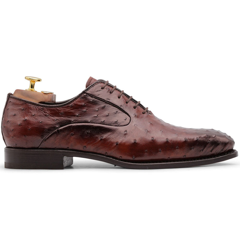 Harris Firenze 1913 Premium Ostrich Leather Oxford Shoes Brown