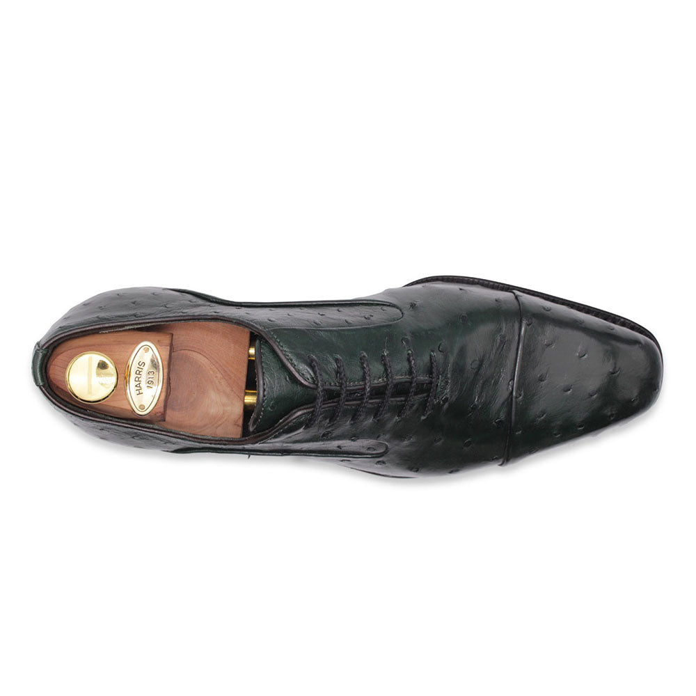 Harris Firenze 1913 Premium Ostrich Leather Oxford Shoes Green