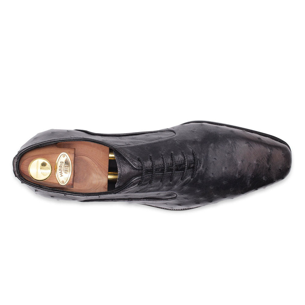Harris Firenze 1913 Premium Ostrich Leather Oxford Shoes Grigi