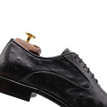 Harris Firenze 1913 Premium Ostrich Leather Oxford Shoes Grigi