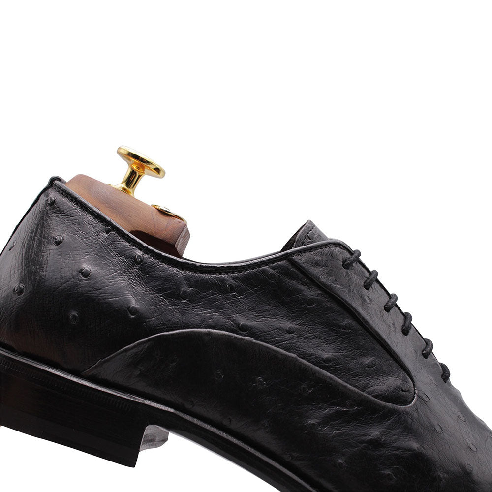 Harris Firenze 1913 Premium Ostrich Leather Oxford Shoes Grigi