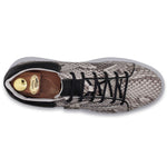 Harris Firenze 1913 Python Sneakers Grey
