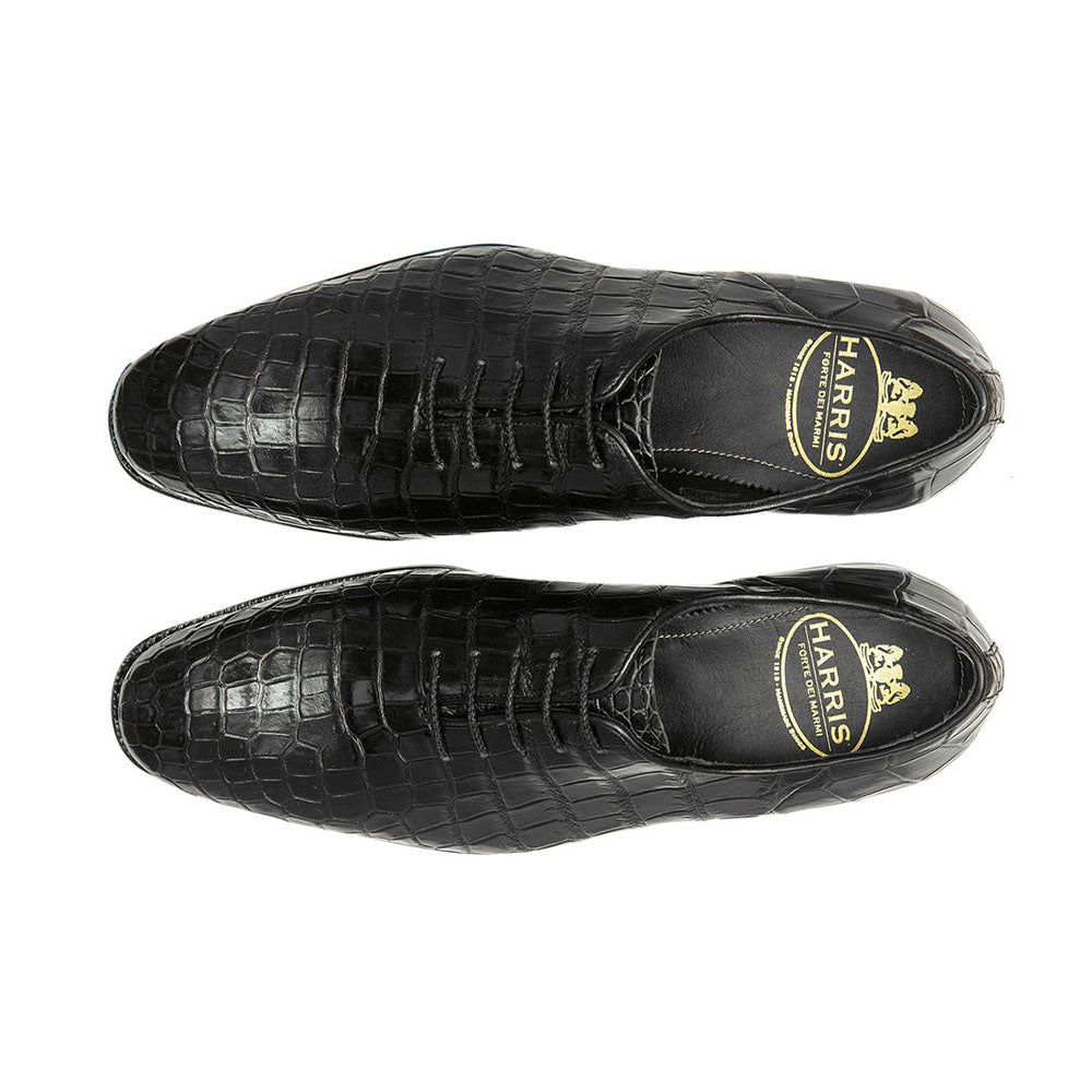 Harris Shoes 1913 Genuine Crocodile Oxfords Nero