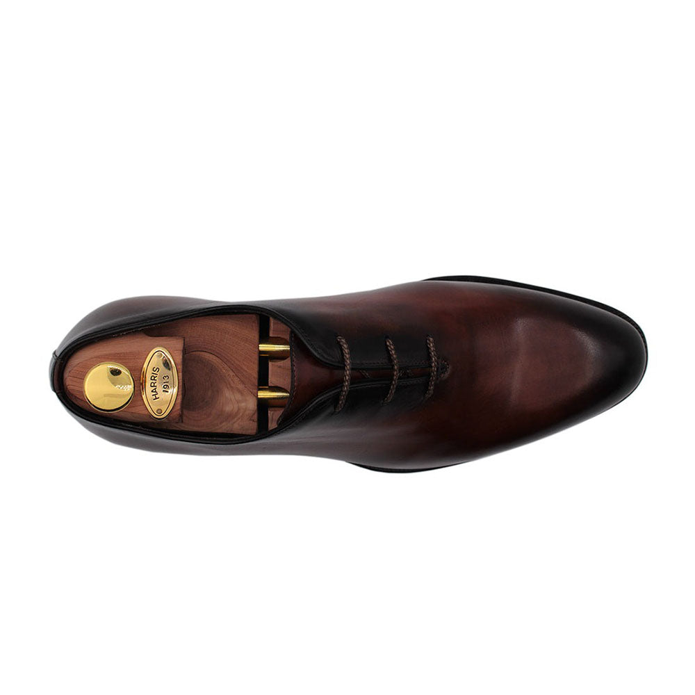 Harris Shoes 1913 Leather Wholecut Oxfords Marrone
