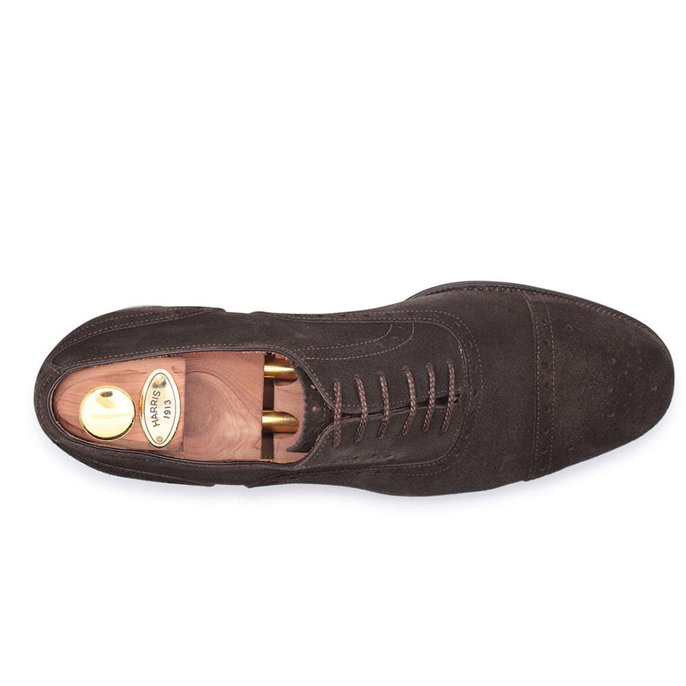 Harris Shoes 1913 Suede Lace-up Shoes Brown