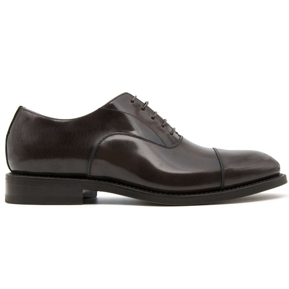 Il Gergo President Lace-up Shoes Book Coffee