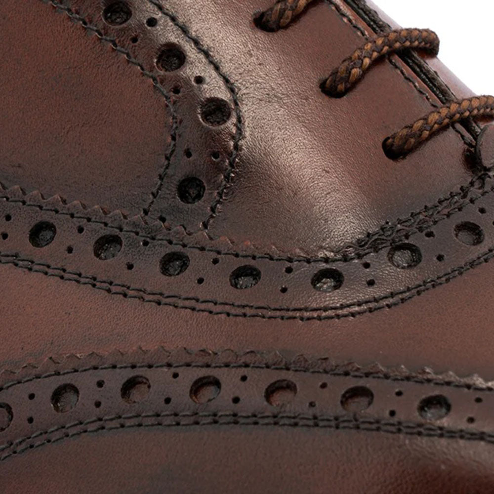 Harris Firenze 1913 Calfskin Wing Tip Oxford Brown