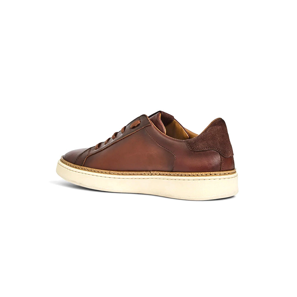 Aquatalia Brivio Leather Sneaker Brown