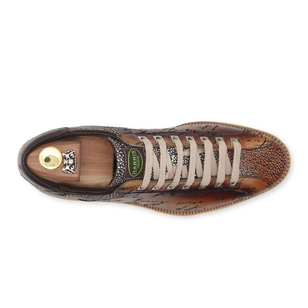 Harris Firenze 1913 Hand-Painted Signature Leather Sneakers Brown