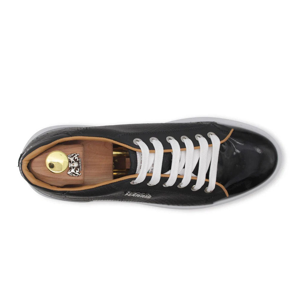 Harris Firenze 1913 Leather & Python Print Sneakers Black
