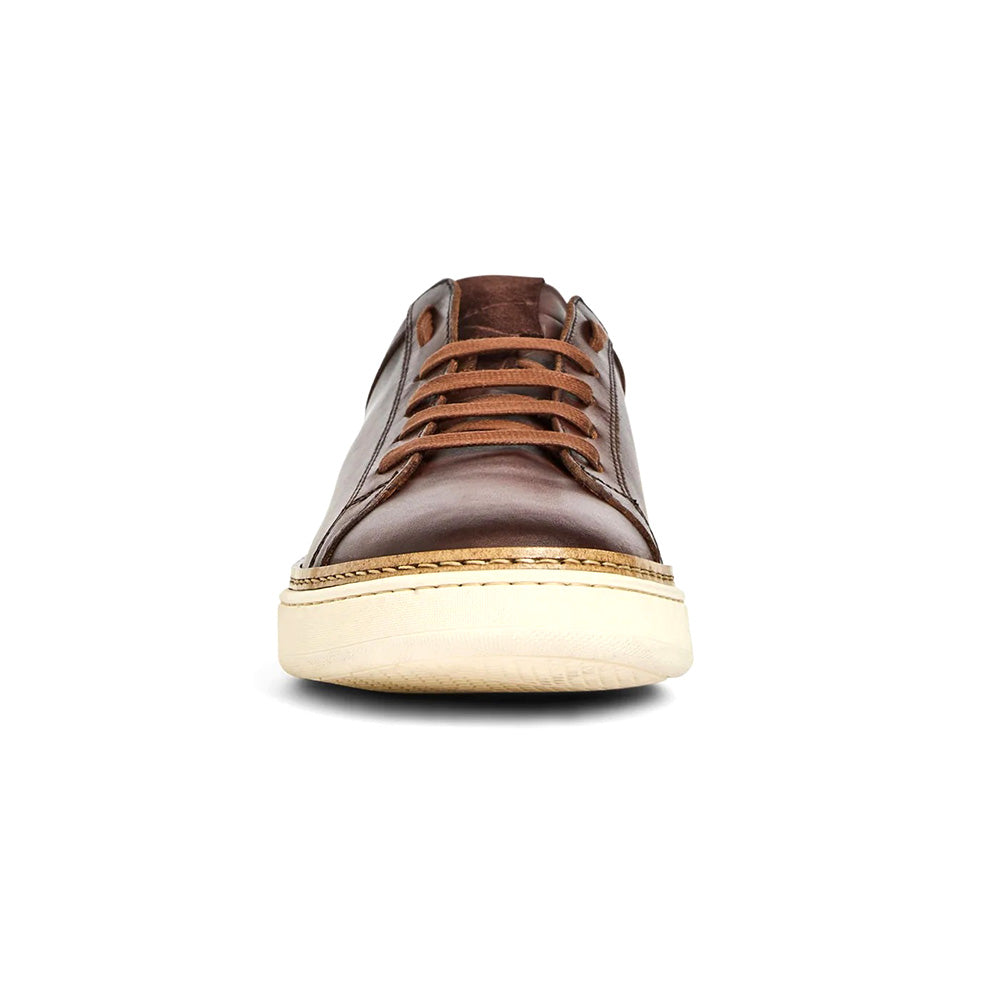 Aquatalia Brivio Leather Sneaker Brown