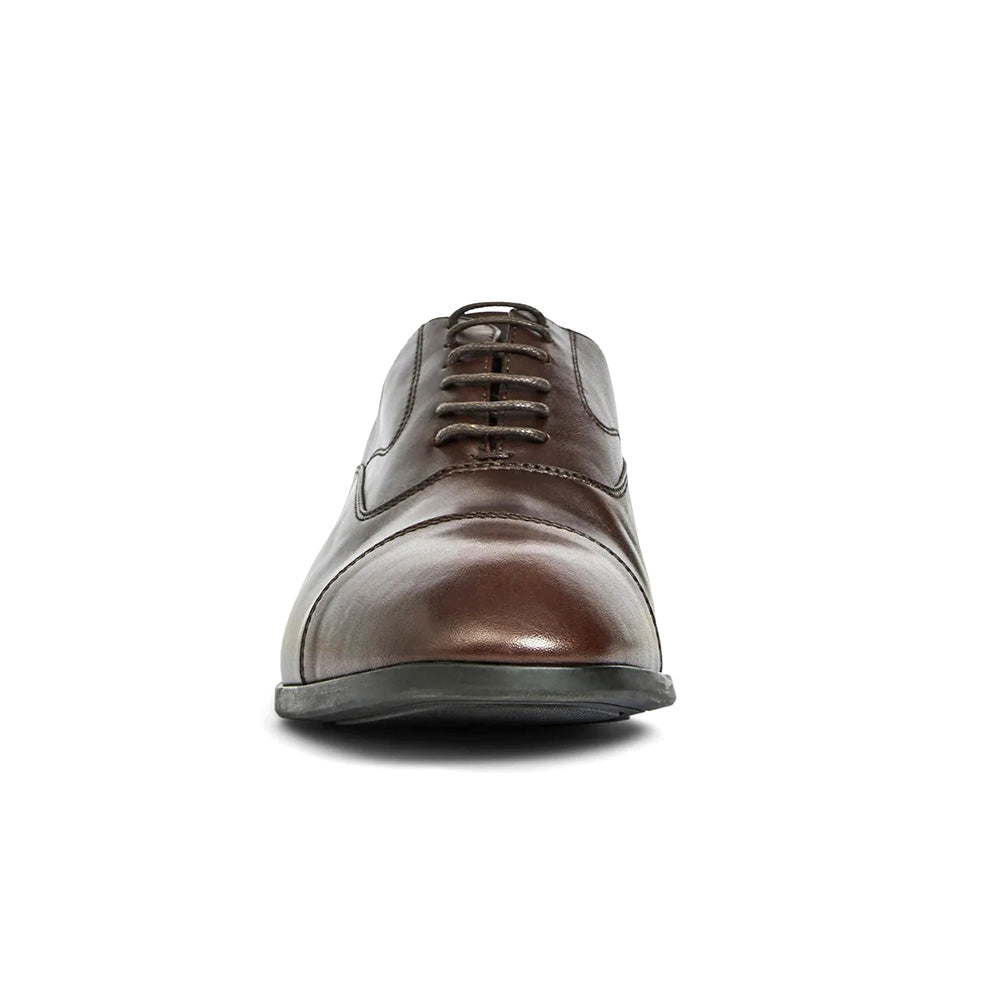 Aquatalia Centro Calfskin Leather Cap Toe Oxford Dark Brown