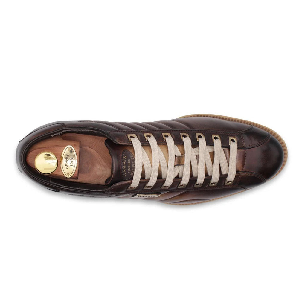 Harris Firenze 1913 Leather Sneakers Dark Brown