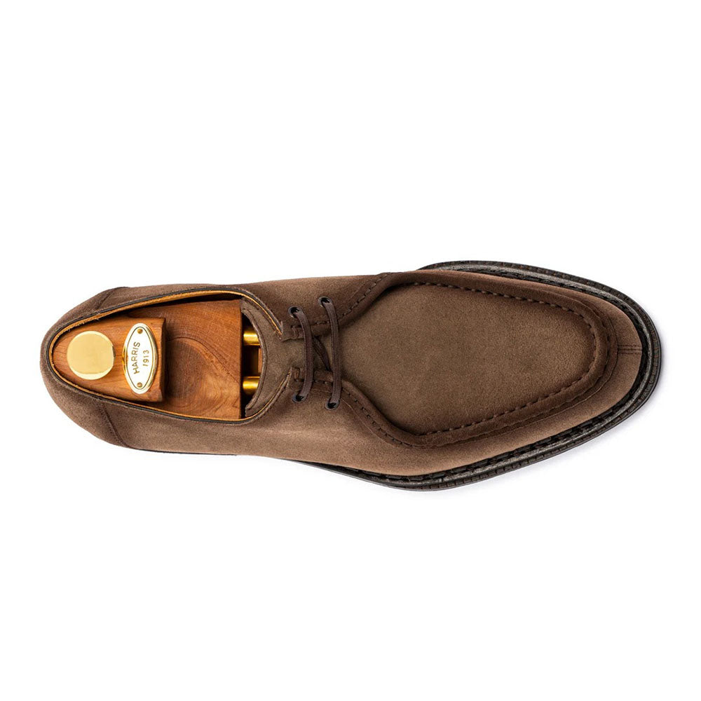 Harris Firenze 1913 Asiago Suede Derby Beige