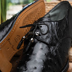 Belvedere Isola Ostrich Quill Dress Shoes Black