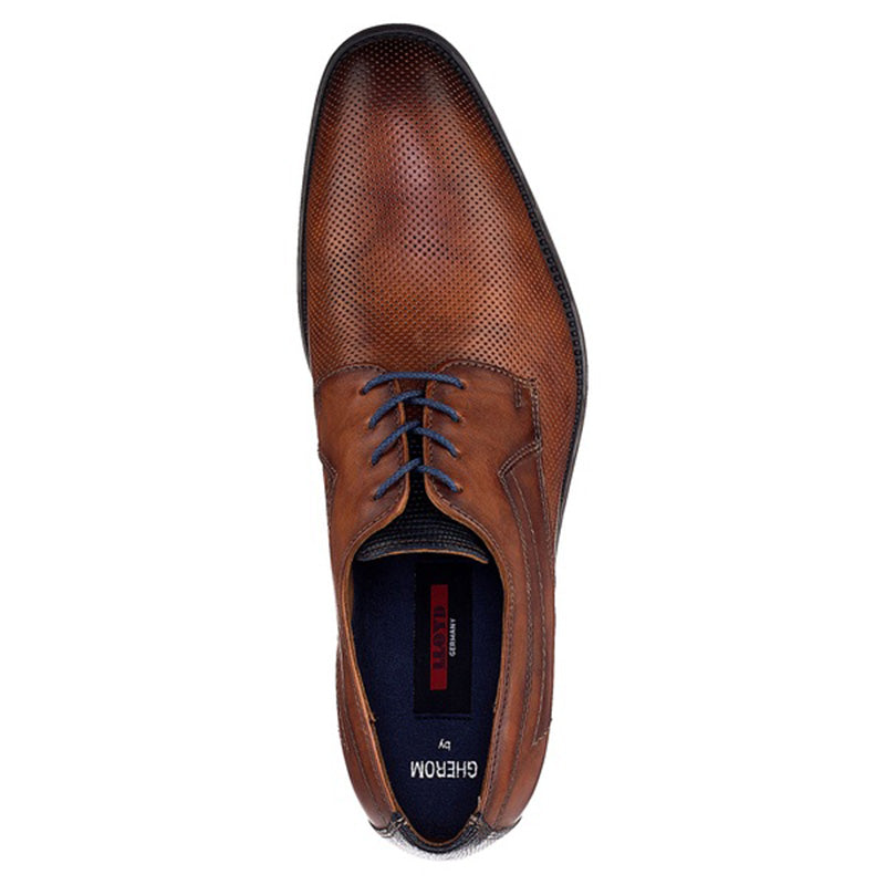Lloyd Gherom Shoes Cocos / Blue