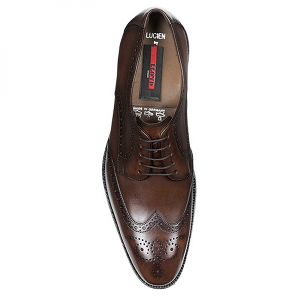 Lloyd Lucien Wingtip Shoes Brown