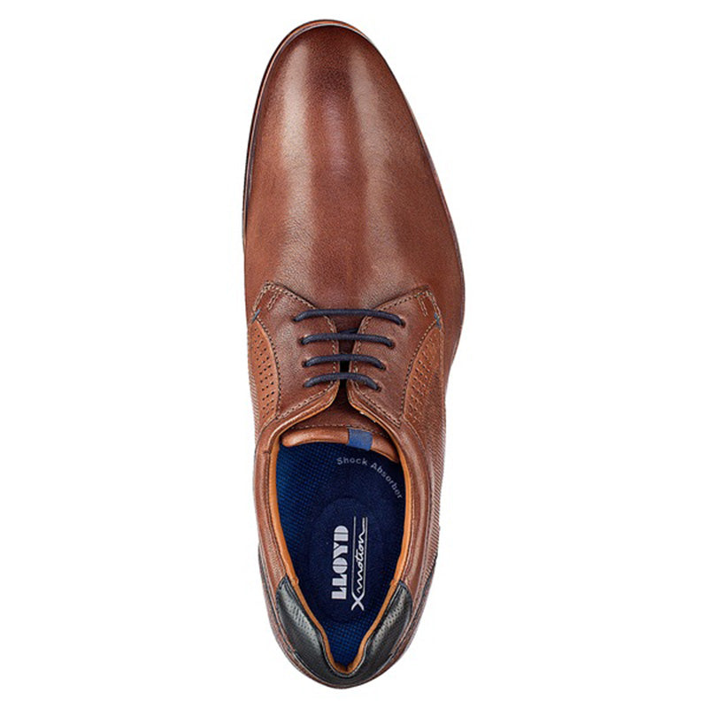 Lloyd Morice Brown Shoes