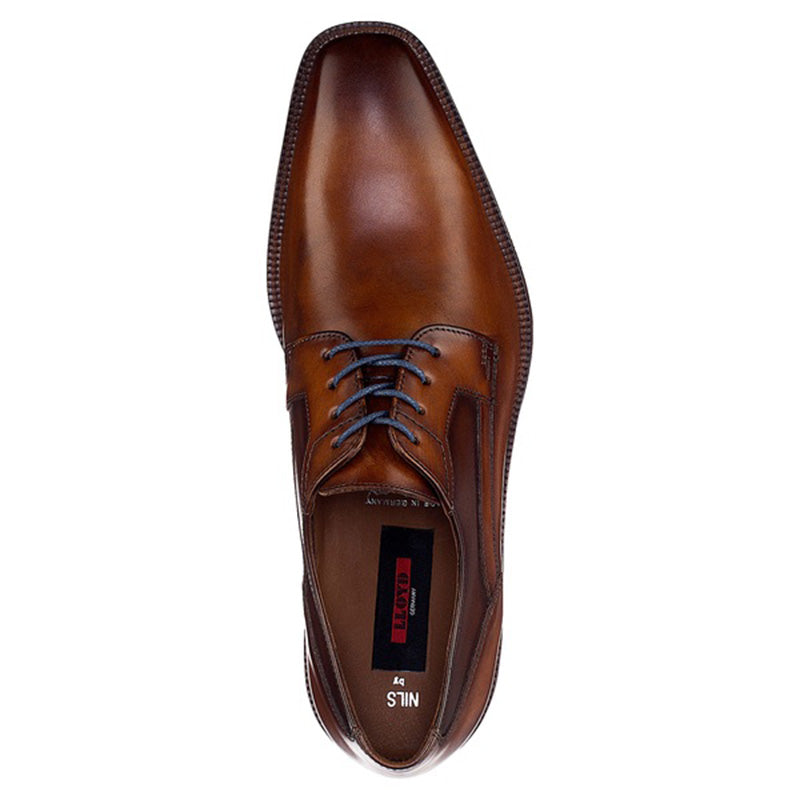 Lloyd Nils Shoes Brandy / Cigar
