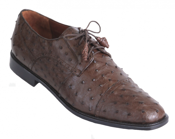 Los Altos Ostrich Quill Cap Toe Shoes Brown