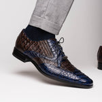 Marco Di Milano Luciano Caiman Crocodile Wingtip Shoes Navy / Brown