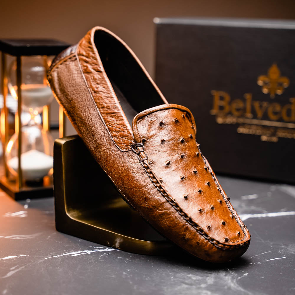 Belvedere