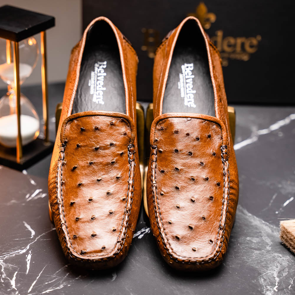 Belvedere Luis Ostrich Shoes Tabac