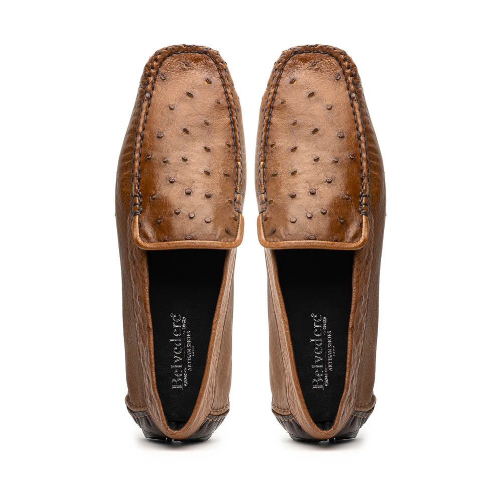 Belvedere Luis Ostrich Shoes Tabac
