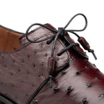 Mezlan Plain Toe Ostrich Lace Up Burgundy (SX50018-S)