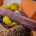 Marco Di Milano Crocodile Belt Wine