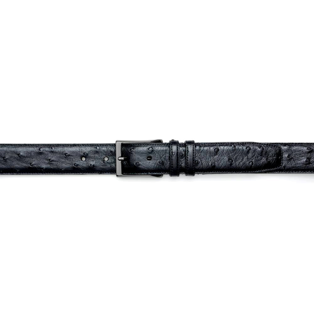 Mezlan Ostrich Quill Belt Black (AO8146 )
