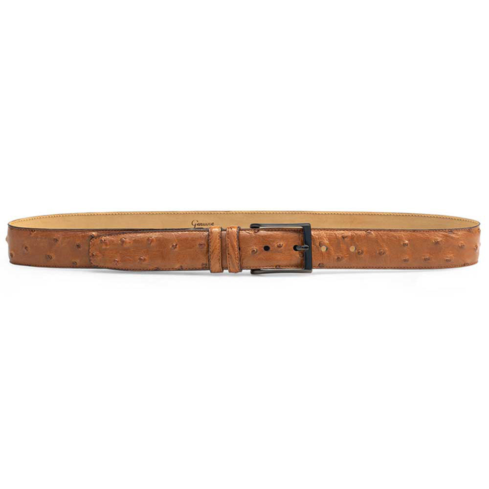 Mezlan Ostrich Quill Belt Brandy (AO8146)