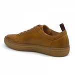 Mezlan Ceres Sneakers Honey