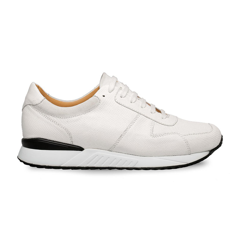Mezlan Fabio Snake / Suede Sneakers White