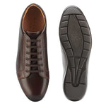 Mezlan Ubrique Calfskin Sneakers Brown Multi