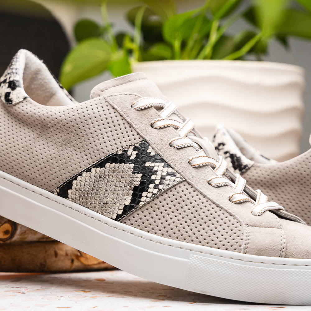 Zelli Olympias Python & Sueded Goatskin Sneakers Grey (66-100-GRY)