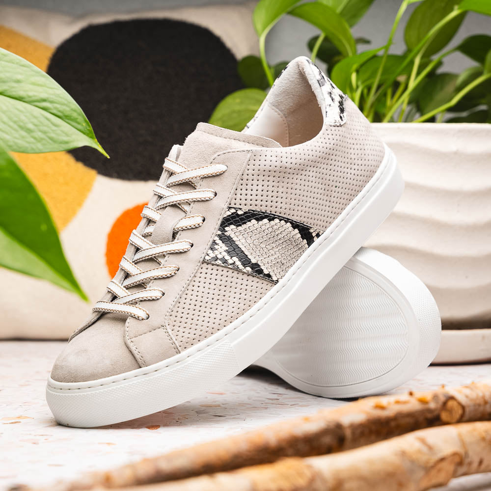 Zelli Olympias Python & Sueded Goatskin Sneakers Grey (66-100-GRY)
