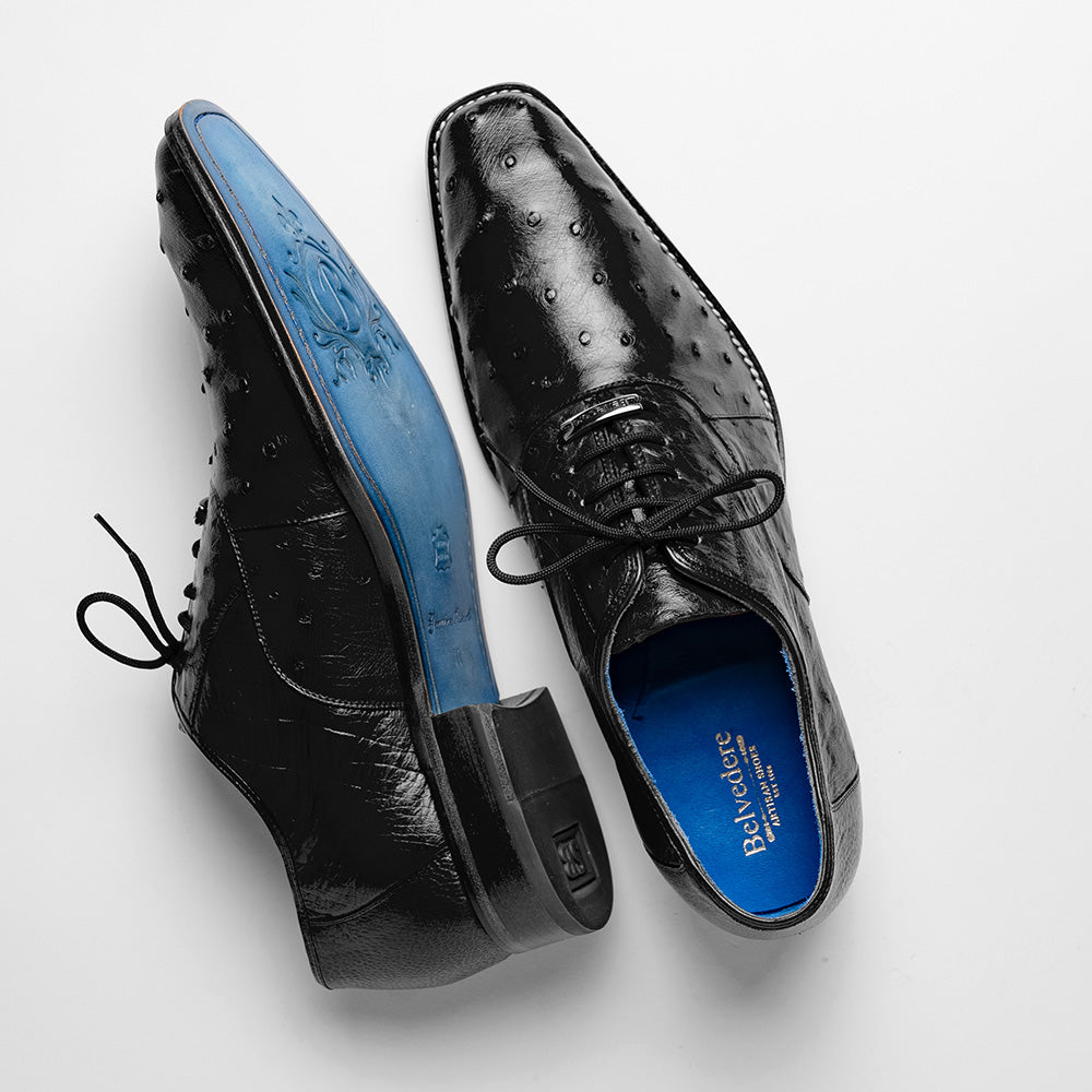 Belvedere Orlando Genuine Ostrich Quill Shoes Black V1 (D01)