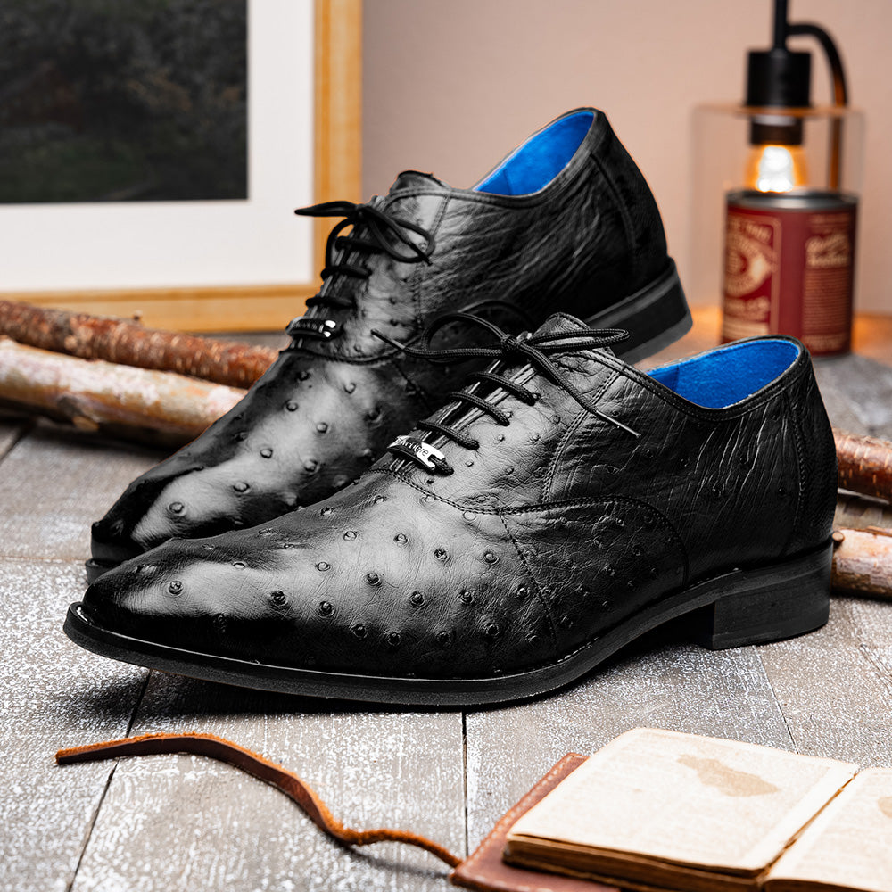 Belvedere Orlando Genuine Ostrich Quill Shoes Black V1 (D01)