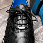 Belvedere Orlando Genuine Ostrich Quill Shoes Black V1 (D01)