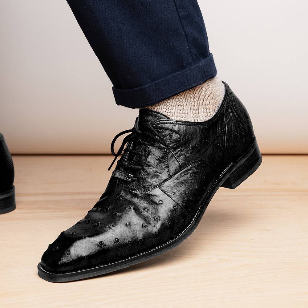 Belvedere Orlando Genuine Ostrich Quill Shoes Black V1 (D01)